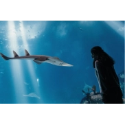 Escapada familiar al oceanário de Lisboa desde 54€ por persona