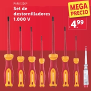 Destornillador recargable USB-C y set de 6 puntas PARKSIDE
