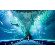 Oceanográfico Valencia + Hotel + Hemisférico y Museo