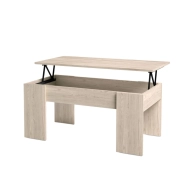 Mesa Elevable Gala Low - Minimalista y Multifuncional 45x100 cm